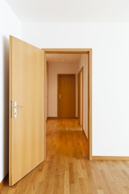 Modern Interior Door